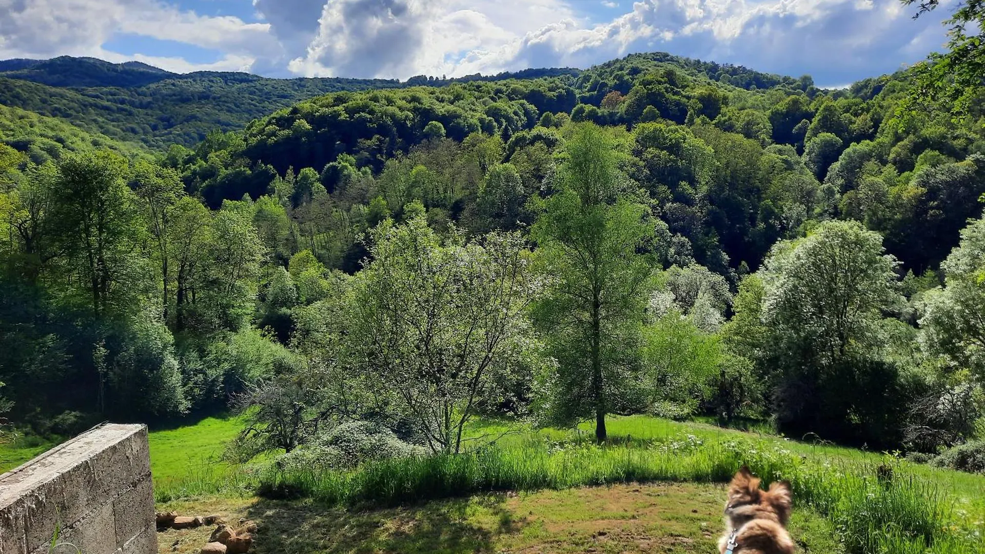 Biert La Coume, Tweepersoonsbed Bed & Breakfast